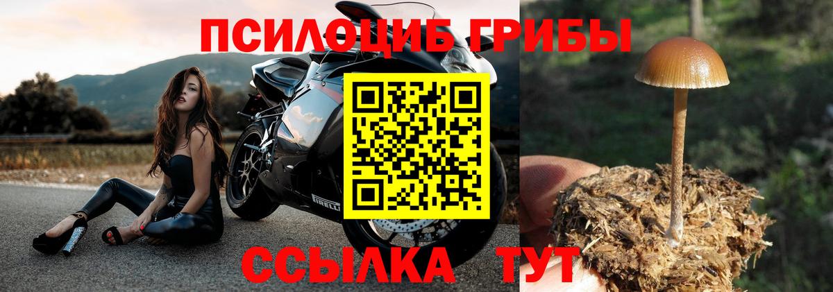 Галлюциногенные грибы Magic Shrooms Печора